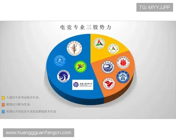 皇冠电竞如何打造专业化的电竞娱乐生态系统